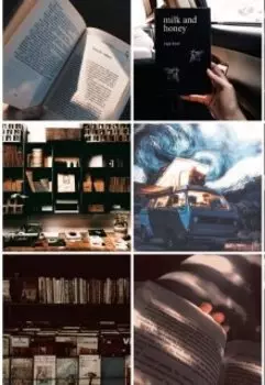 Книжные воришки