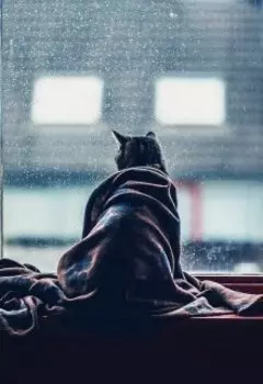 Кофейня Чайны