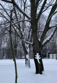 Когда нельзя...