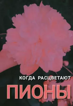 Когда расцветают пионы.