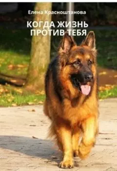 Когда жизнь против тебя