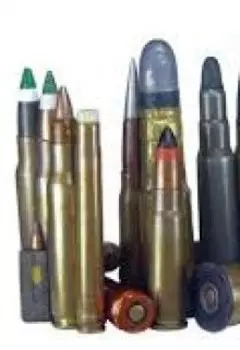 Коллекция … или «эстетика – этика будущего»