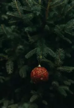 Конформность.