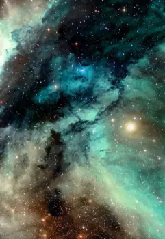 Король воров