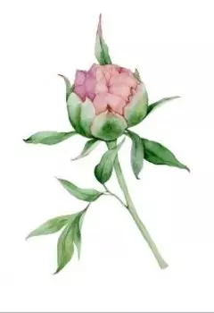 Королевство Масок или Сказка о Пионе