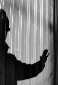 Короткие бредовые рассказы