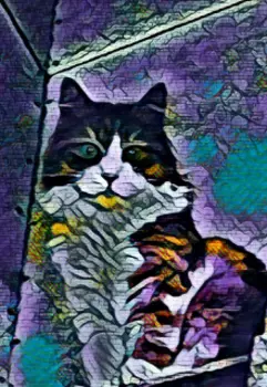 Короткие магические истории