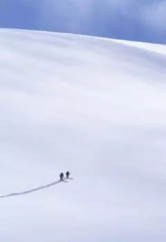 Короткое лето Тесеи