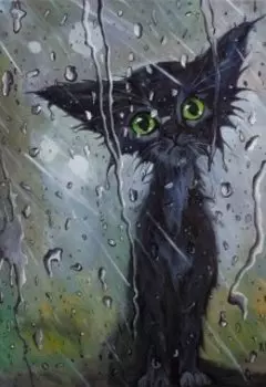 Кошка - любовь