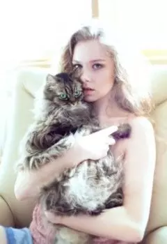 Кошка-Невидимка