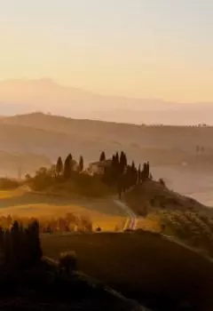 Космологии в живущих опытах квази идеалов