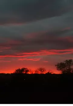 Красивая смерть