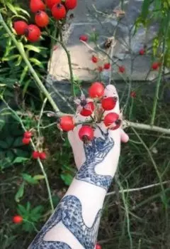 Красивый сад не без змей