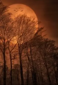 "Красный Товарищ"