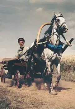 Красный журавль