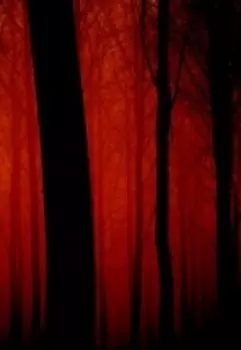 Кровавый лес