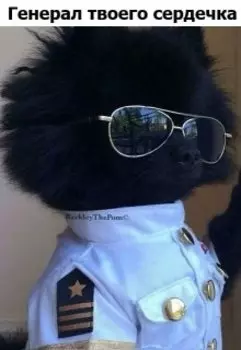 Крупную ошибку не изменить