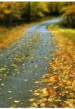 Кто мы? (странный мир...)