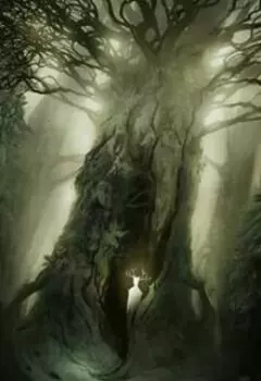 Куда заводят болотные огоньки?