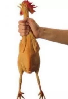 Курица-какашка