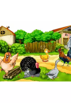 Куриный Переполох