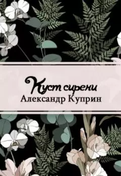 Куст сирени