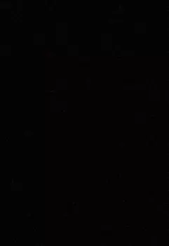 Квантовое бессмертие