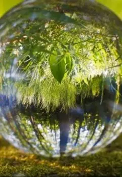 Квантовый переход или Что необходимо знать каждому.