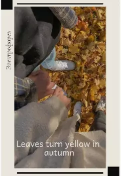 Leaves turn yellow in autumn