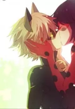 Леди баг и Супер кот - война за любовь.