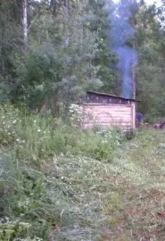 Лесная философия