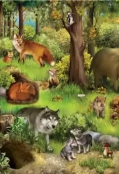 Лесная революция