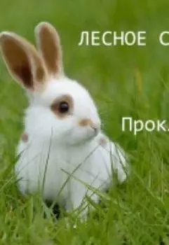 Лесное Сердце "Проклятие Степи"