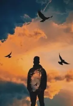 Летучая сила