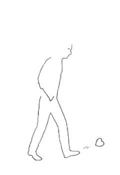 Линии судьбы