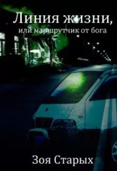 Линия жизни, или маршрутчик от бога