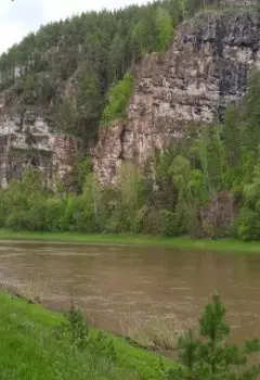 Лиса. Судьбу не выбирают