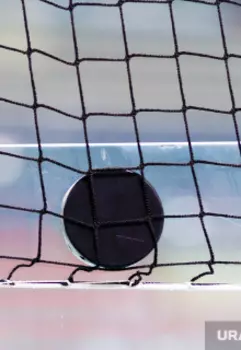 Лисицын, берегись!