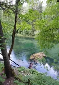 Лопухинка: красиво и обидно