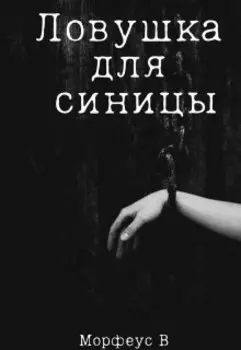 Ловушка для синицы