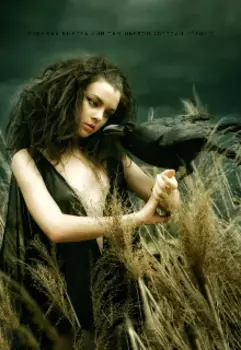 Ловушка выбора