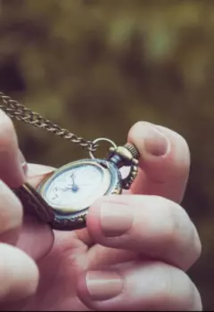 Ложные истории с правдивой истиной