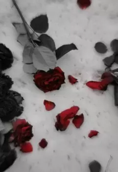 Любил ли ты меня?