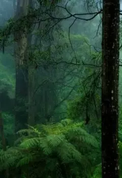 Любовь это бродить вместе, держась за руки