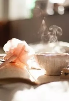 Любовь шпионки