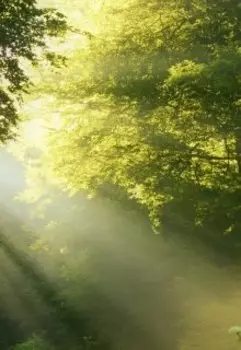 Лучик солнца