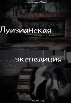 Луизианская экспедиция