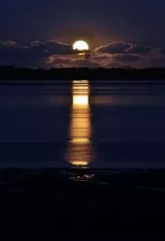 Лунная дорожка