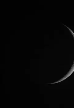 Лунная тень для жемчужного лотоса