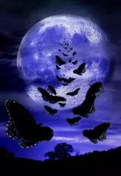 Лунные бабочки